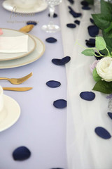 300pcs Navy Blue Rose Petals Silk Wedding Table Decor Party Confetti
