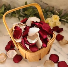 Burgundy Flower Girl Petals Beige Boho Wedding Ceremony Decor Proposal We Do
