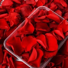 Natural Rose Petals Weddings Parties Crafts Romantic Decor Floral Arrangements