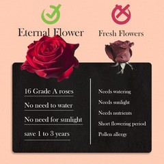 27 Preserved Roses in Heart-Shaped Box, Flowers for 27 Roses, Red