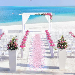 1000 Pcs Rose Petals Artificial Silk Flower Petals Romantic Decorations