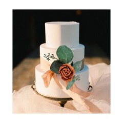 Burnt Orange Wedding Cake Topper Sola Wood Rose Flower Eucalyptus Reusable DIY