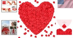 Realistic Silk Rose Petals – 1000 Pieces for Weddings, Anniversaries & More