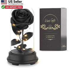 Preserved Black Rose Gift Light Up Eternal Flower In Dome For Mom Wife FROM USA