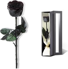 Preserved Rose, Flowers for Delivery Prime, SingleRose, 02-black