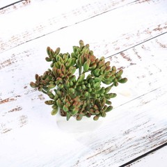 Set of 3 7″ tall Assorted Faux Cute Succulent Plants with Off White Ceramic Pots