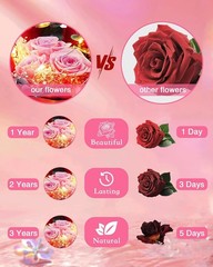 HVY Preserved Flowers in Glass for Her,Pink Real Rose Bouquet with LED Light,Ete