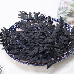 Black Dried Boston Ferns – 10 PCS – 15” Real – Dried Black