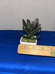 Mini Plant With Pot 5” Tall Artificial desert Grass Restaurant Office Decor