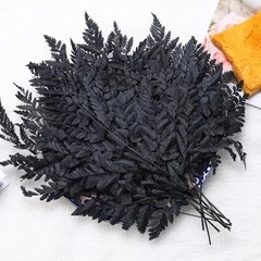 Black Dried Boston Ferns – 10 PCS – 15” Real – Dried Black