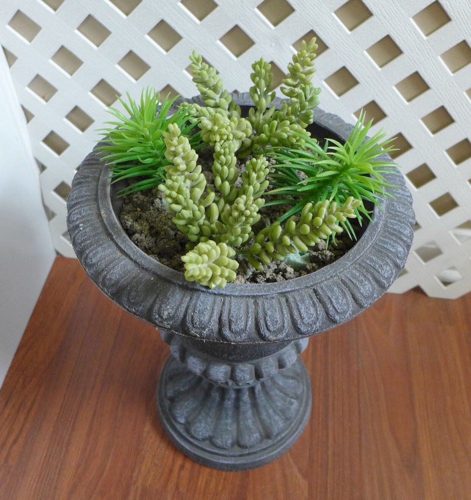 Set of 5 Artificial Grass Mini Pine Tree And Yacon Succulents Plants