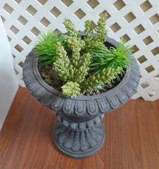 Set of 5 Artificial Grass Mini Pine Tree And Yacon Succulents Plants