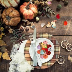 30 Pcs Mini Pumpkins for Decorating Craft Felt Fall Color Mixing