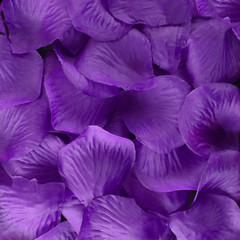 Silk Mini Rose Petals for Weddings – Purple (1000 Pieces) by Super Z Outlet