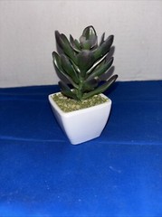 Mini Plant With Pot 5” Tall Artificial desert Grass Restaurant Office Decor