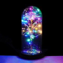 FGSS Eternal-Rose-Flowers-Gift Galaxy-Glass Rose-Flower-Light-Gifts Rainbow