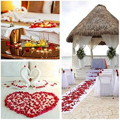 (Pre-Separated, Scented) Artificial Silk Rose Petals for 1000 Count Dark Red