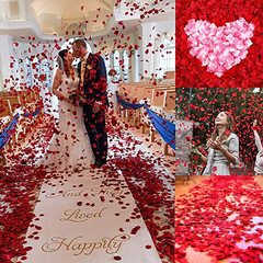 3000 pétalos de rosa roja, pétalos de rosa de flores de seda artificiales