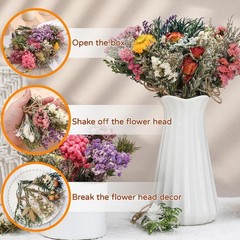 10/12/24/36 Pack Mini Dried Flowers for Vase Wedding Various Mini Bouquet Dri…