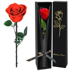 Leebean Single Forever Roses Luxury Gift for Women/Men, Birthday 1 Rose, Red
