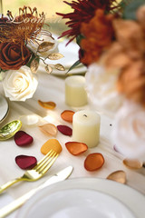 300Pcs Terracotta Rose Petals Satin Flower Petals for Wedding Flower Girl Basket