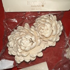 Sola Wood Flowers By Blooming Autumn NIP 20 Cream Flowers (10 Packs)
