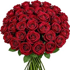 50PCS 20‘’ Red Artificial Roses Flowers with Long 50pcs Red Artificial Flowers