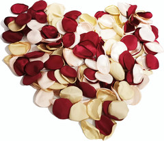 200PCS Silk Rose Petals Fake Scatter Petals Burgundy Gold Pink Flower Petals for