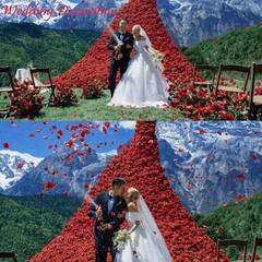 CODE FLORIST 2200 PCS Dark-Red Silk Rose Petals for 2 Inch Red-black