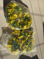 Uxcell Garland Artificial Yellow Flower Vines 2 Pack