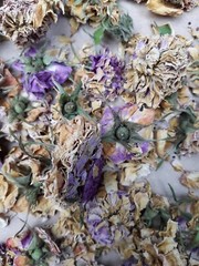 Rose Petals (whole) pink Dried Flower ~ USA