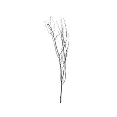6 Natural Extra Long 46″ Birch Tree Branches Vase Fillers FLOWERS STEMS Wedding