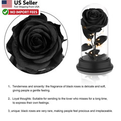 Preserved Black Rose Gift Light Up Eternal Flower In Dome For Mom Wife FROM USA