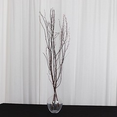 6 Natural Extra Long 46″ Birch Tree Branches Vase Fillers FLOWERS STEMS Wedding