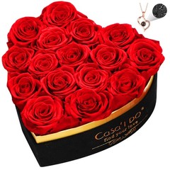 Casaido Preserved Roses Flowers for Delivery 16 Pcs, 16 Roses, Red