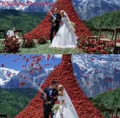 Fake Rose Petals for Romantic Night Red 5500 Pcs, Artificial Silk Faux Flowers