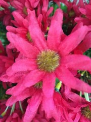 Artificial Plastic Fabric Red Colour Flowers With Green Leaves