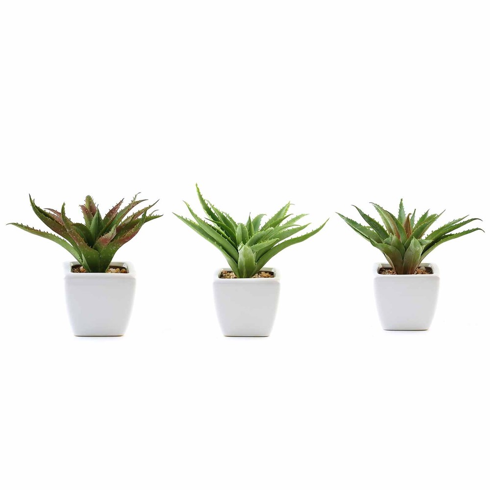 Set of 3 5″ tall Assorted Faux Succulent Aloe Plants with Off White Ceramic Pots
