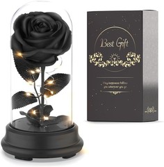 Deluxsa Forever Preserved Black Rose Birthday Gifts for Women,Eternal Flower