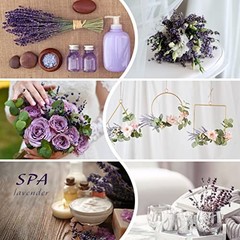Dried Preserved Lavender Flowers Bundle-Natural Dried Lavender Purple-2.82oz