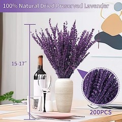 Dried Preserved Lavender Flowers Bundle-Natural Dried Lavender Purple-2.82oz