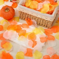 4000Pcs Fall Thanksgiving Artificial Floral Petals Orange Pink Yellow Ivory