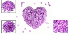 2200 PCS Light Purple Silk Rose Petals – Perfect for Weddings & Romantic Decor