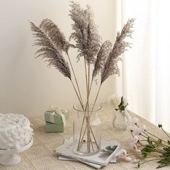 6 NATURAL 32″ Pampas Grass SPRAYS Dried Plant STEMS Party Events Decorations