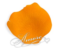 1000 Wedding Silk Rose Petals Burnt Orange, Petals & Garlands, Rose Petals