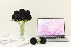 12 Pcs Artificial Chrysanthemums Flowers Ball Flower Fake Mums Silk for Black