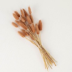 BROWN 50 Stems 15″ Rabbit Tail Dried Natural Pampas Grass SPRAYS Party Events