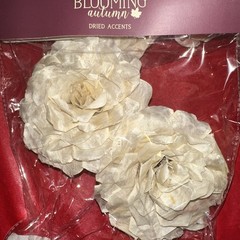 Sola Wood Flowers By Blooming Autumn NIP 20 Cream Flowers (10 Packs)
