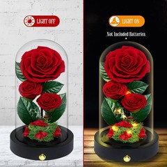 3 Preserved Flowers Roses in Glass Dome for Beauty 7.5 inches, Red