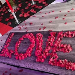 2000 PCS Silk Rose Petals, Artificial Flower Petals for Wedding Party, Valentine